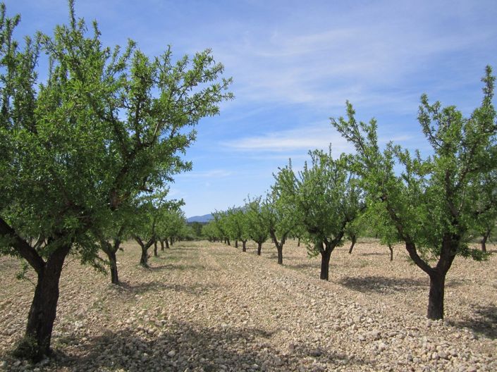 Image No.5-Land for sale