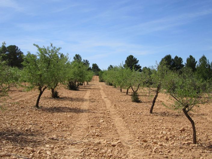 Image No.7-Land for sale