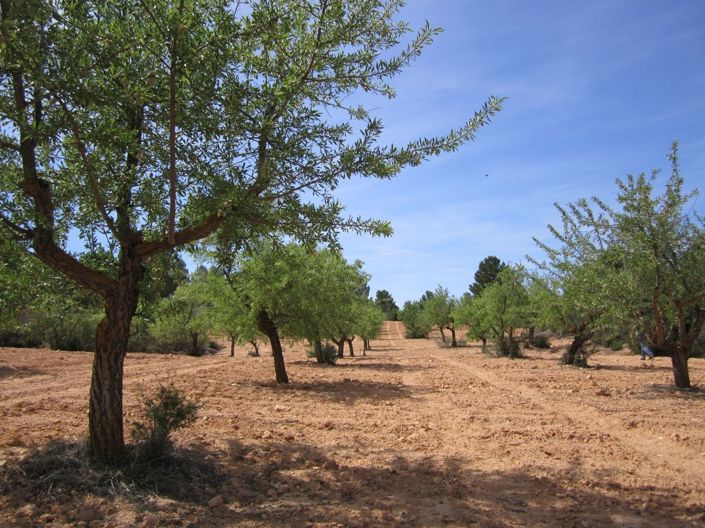 Image No.8-Land for sale