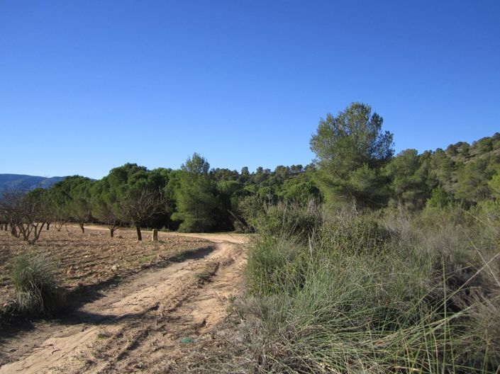 Image No.10-Land for sale