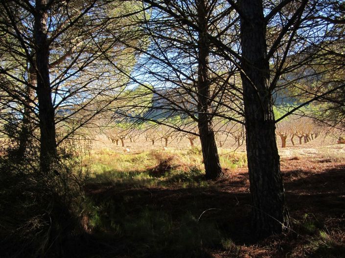 Image No.3-Land for sale