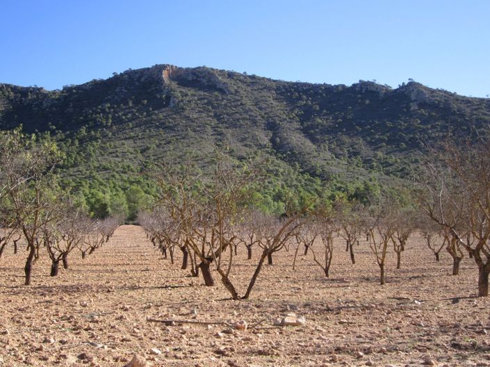 Image No.4-Land for sale