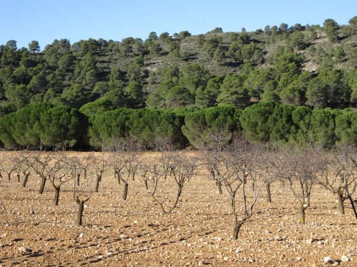 Image No.6-Land for sale