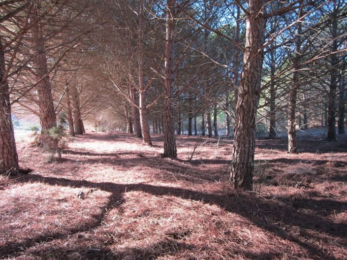 Image No.7-Land for sale