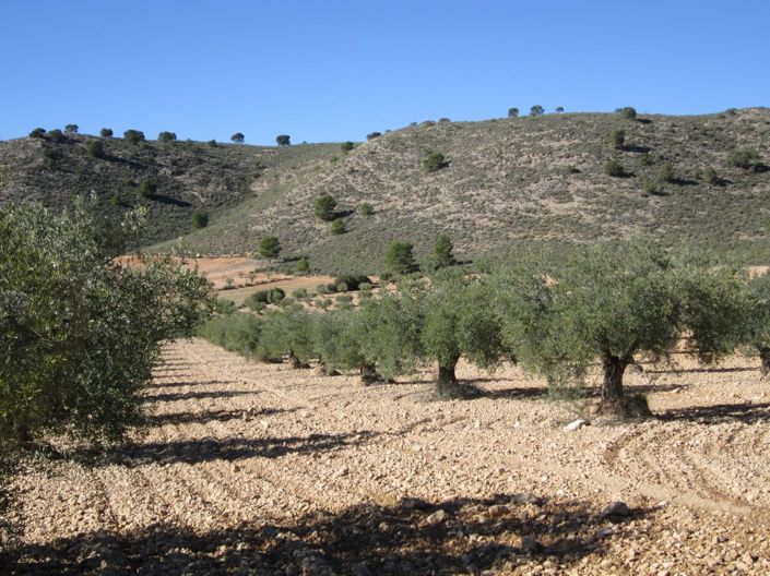 Image No.4-Land for sale