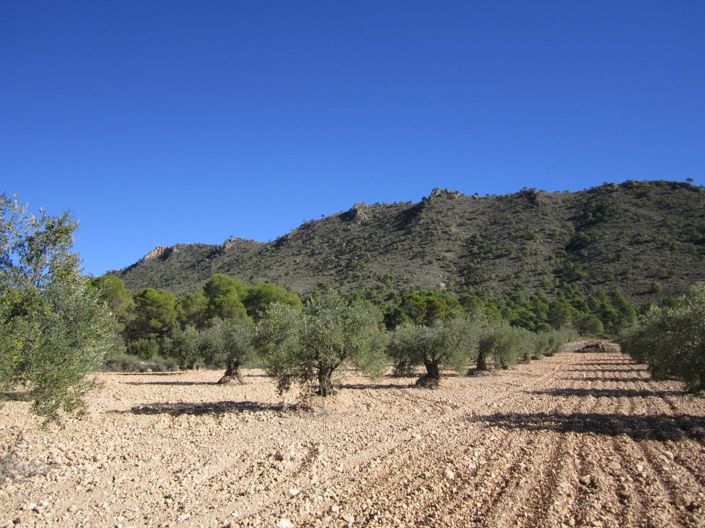 Image No.7-Land for sale