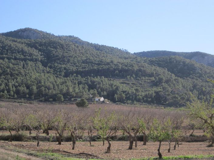 Image No.2-Land for sale