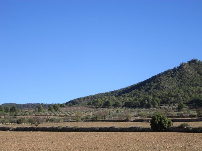 Image No.3-Land for sale