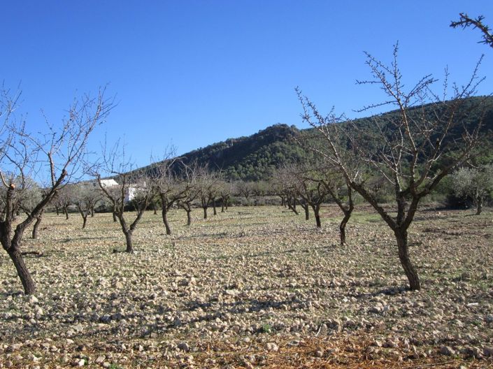 Image No.8-Land for sale