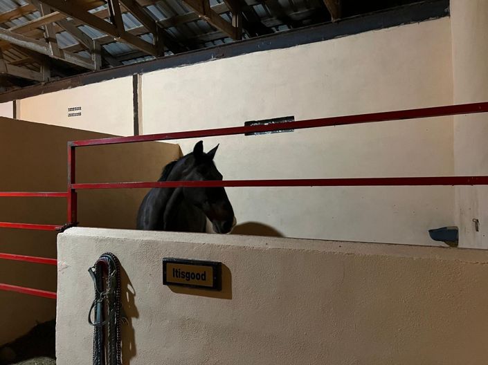 Image No.30-3 Bed Villa for sale