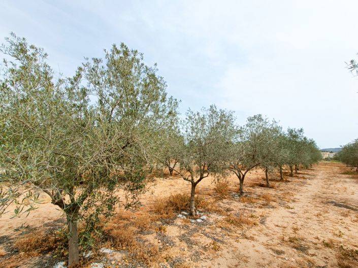 Image No.35-4 Bed Villa for sale