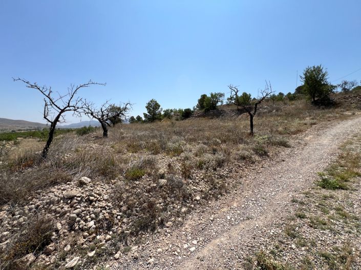 Image No.11-Land for sale