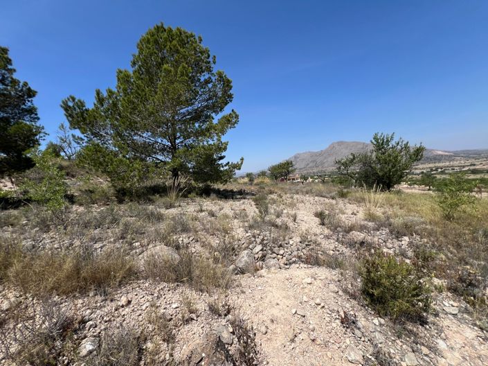 Image No.12-Land for sale