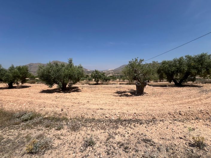 Image No.1-Land for sale