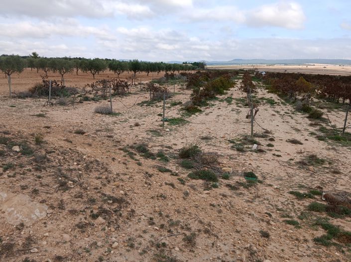 Image No.12-Land for sale