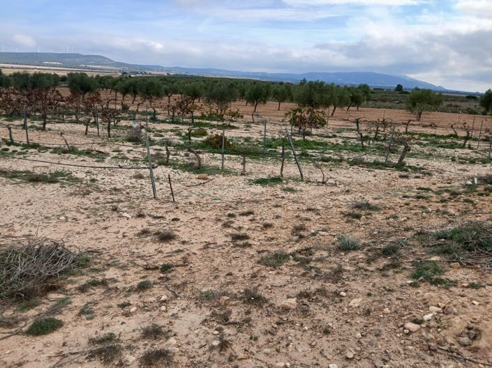 Image No.14-Land for sale