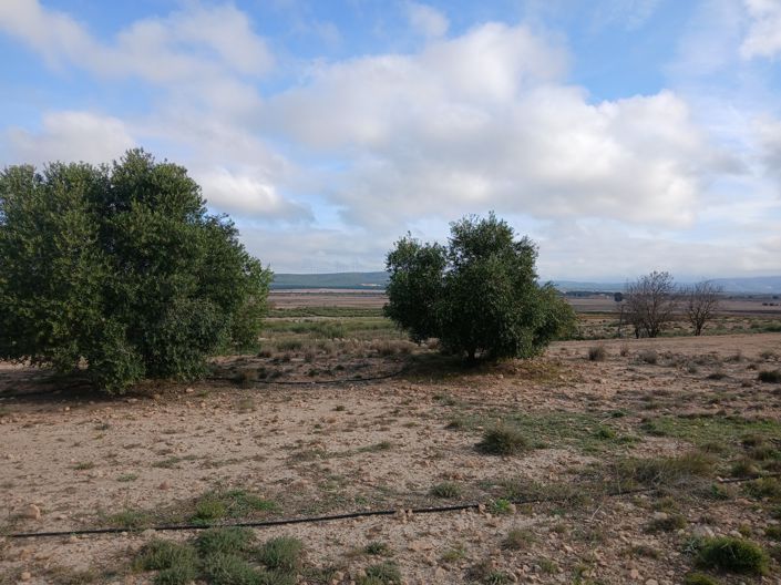 Image No.2-Land for sale