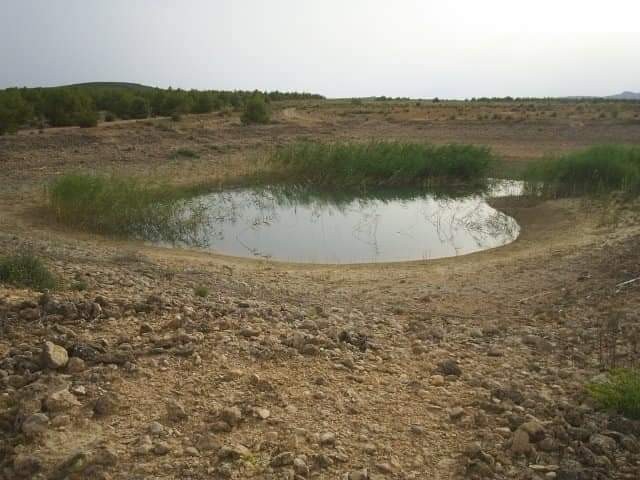 Image No.2-Land for sale