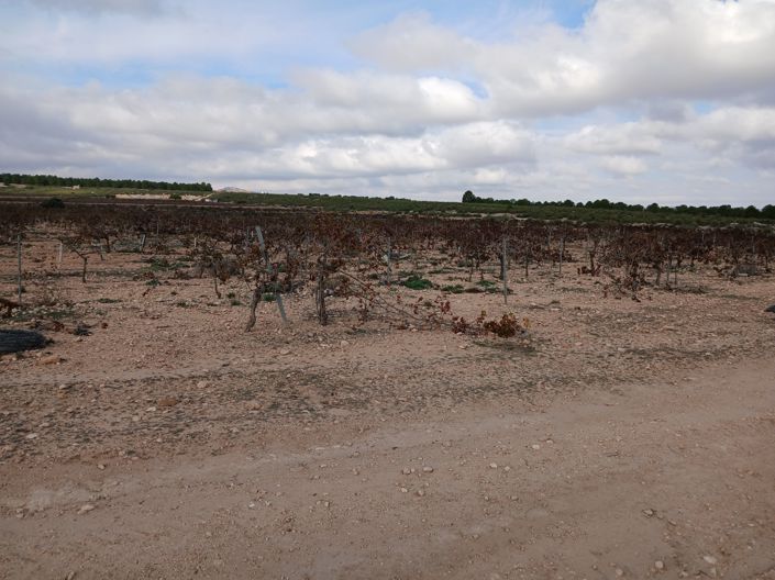 Image No.20-Land for sale