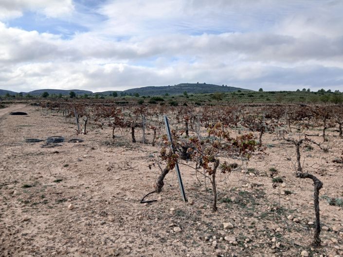 Image No.22-Land for sale