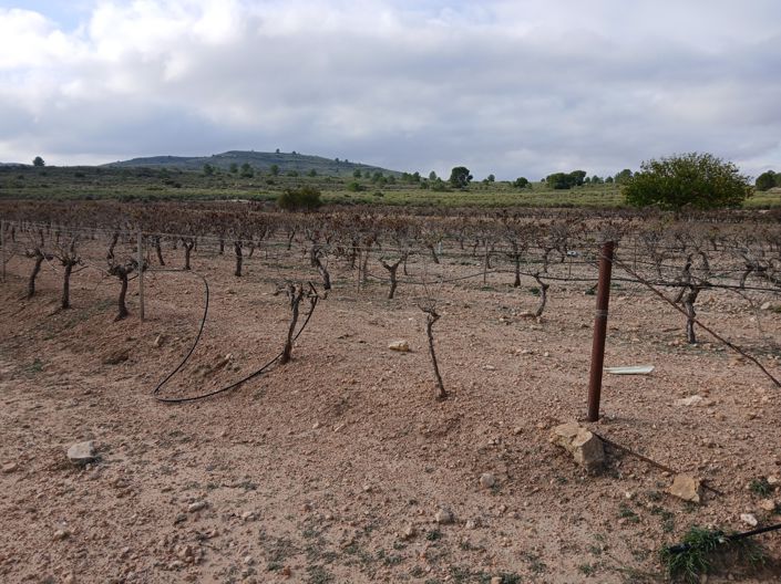 Image No.25-Land for sale