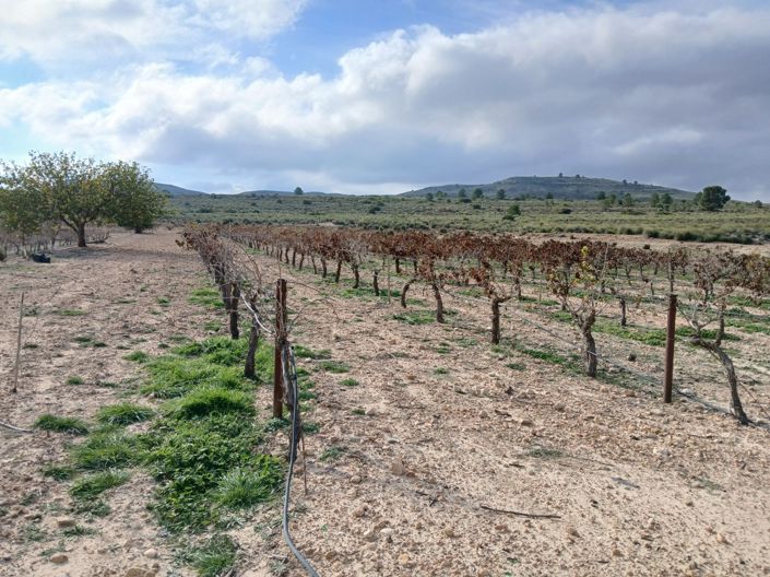 Image No.29-Land for sale