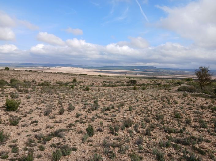 Image No.5-Land for sale