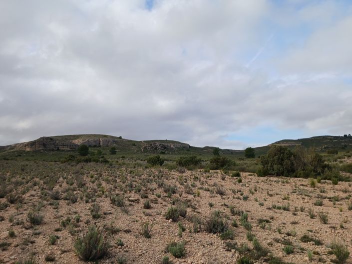 Image No.6-Land for sale