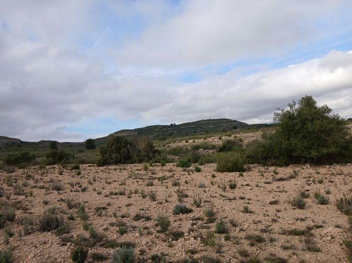 Image No.7-Land for sale