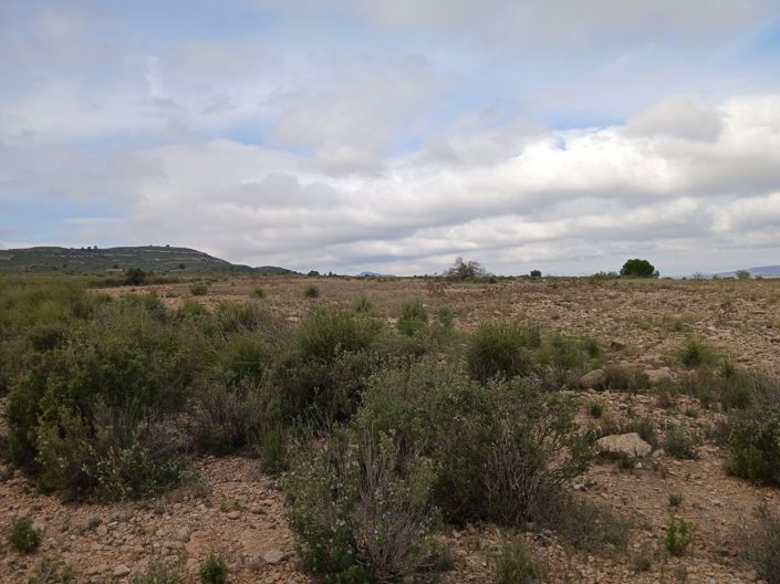 Image No.9-Land for sale