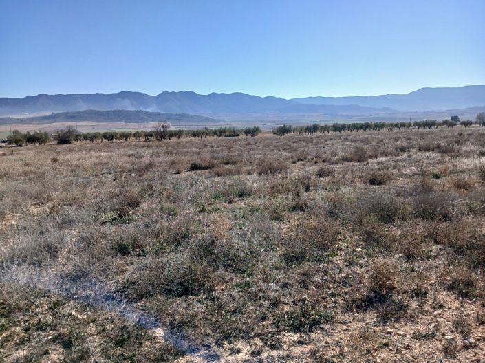 Image No.5-Land for sale