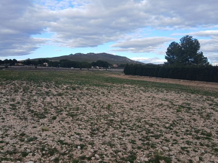 Image No.1-Land for sale