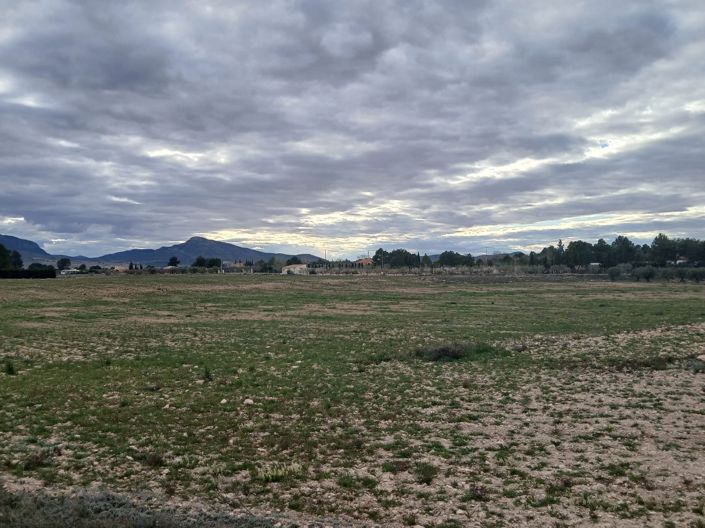 Image No.5-Land for sale