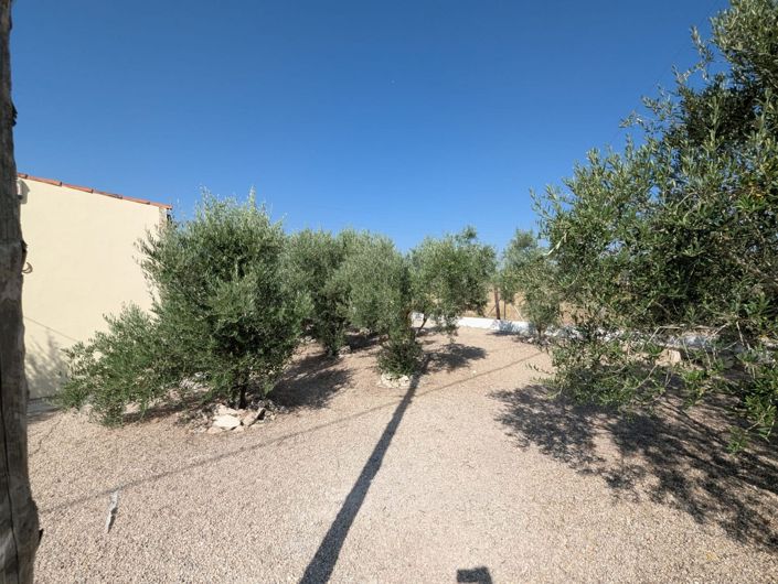 Image No.30-Maison de campagne de 3 chambres à vendre à Sax