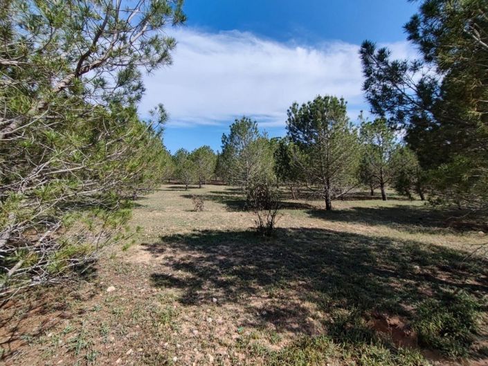 Image No.4-6 Bed Country House for sale