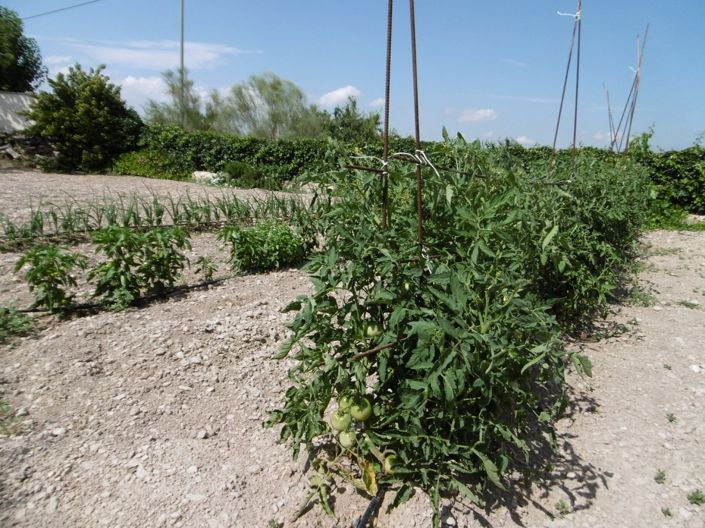 Image No.21-Villa de 6 chambres à vendre à Alicante