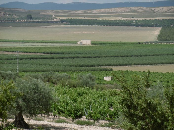 Image No.22-Villa de 6 chambres à vendre à Alicante