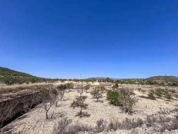 wmp45ybuohkew7p7znq7q