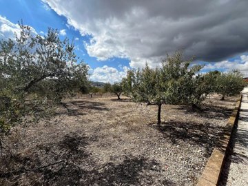 w84xapsy5tdvyazstxte3