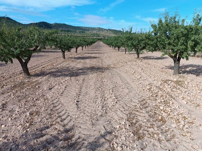 Image No.14-Land for sale