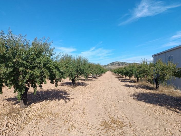 Image No.7-Land for sale