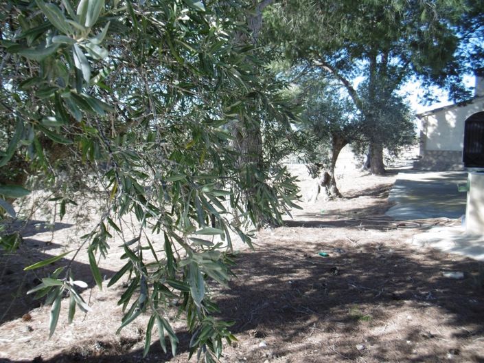 Image No.14-3 Bed Villa for sale