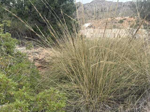 Image No.18-Land for sale