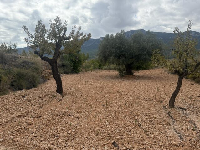 Image No.19-Land for sale