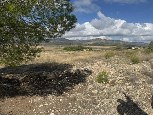 Image No.11-Land for sale