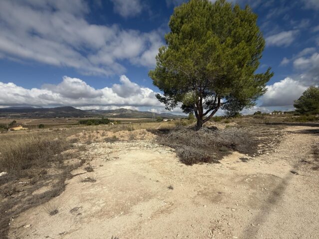 Image No.8-Land for sale