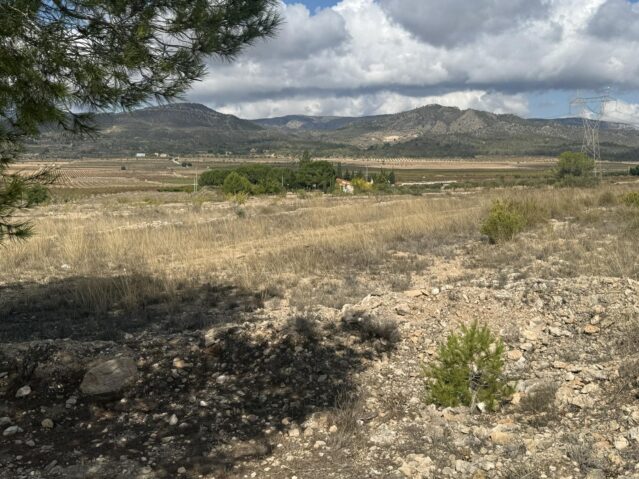 Image No.9-Land for sale