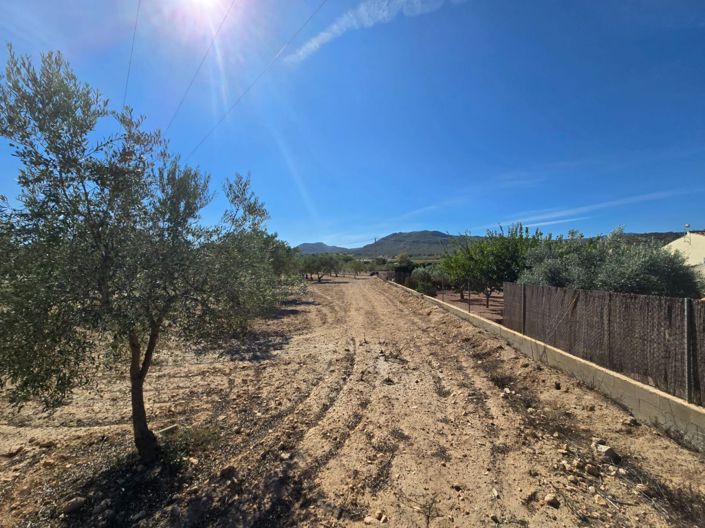 Image No.1-Land for sale