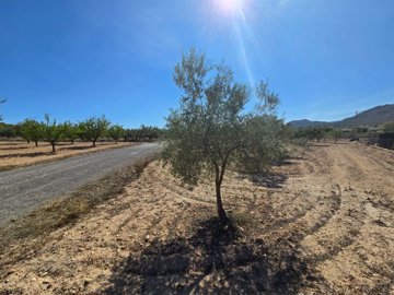 wwhatsapp-image-2025-09-12-at-163147