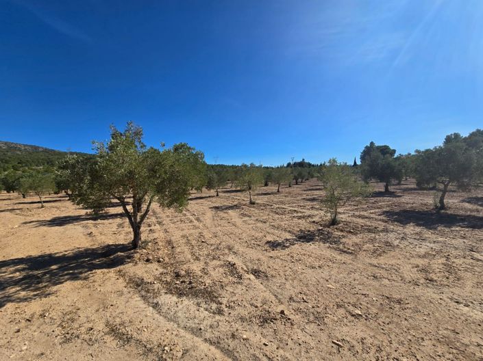 Image No.6-Land for sale